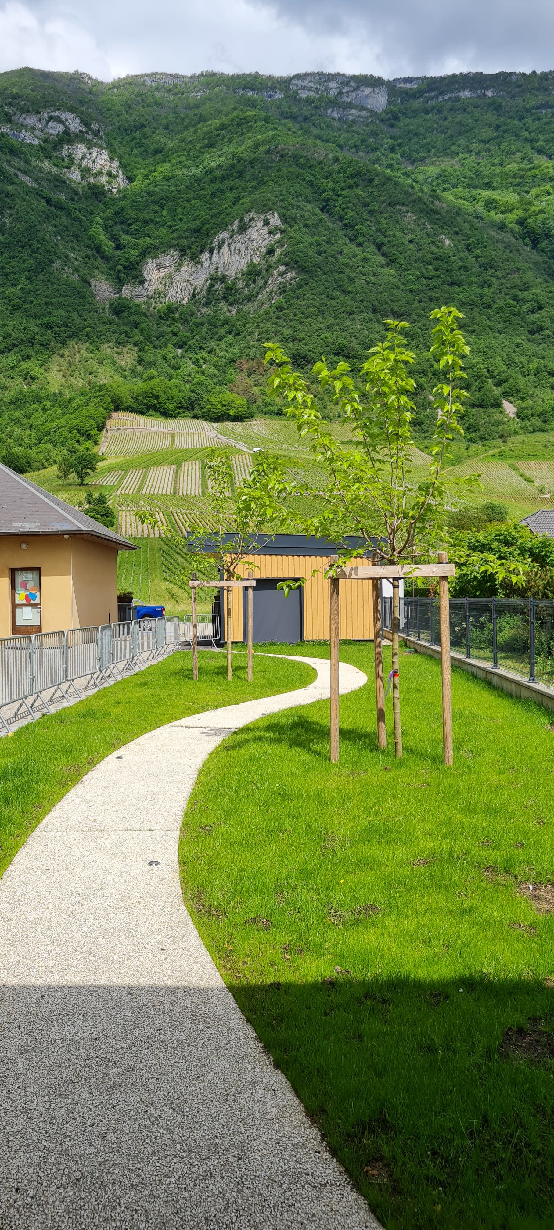 Soil De-sealing & Reforestation