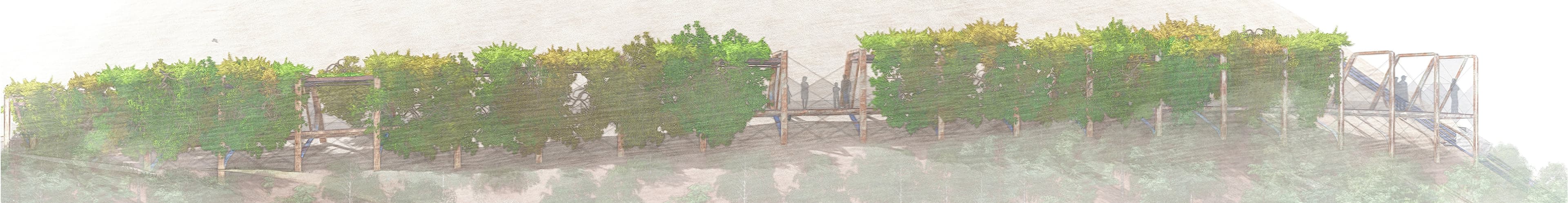 L’ensemble de la galerie vue de l’est : la passerelle file sur toute la longueur de la pente, portée par des pieux de bois, sous une couverture continue de feuillage. Deux promeneurs s’arrêtent à une ouverture au milieu, deux autres se tiennent sur la structure du skip à l’extrémité droite. Dessin aquarellé en teintes pâles.