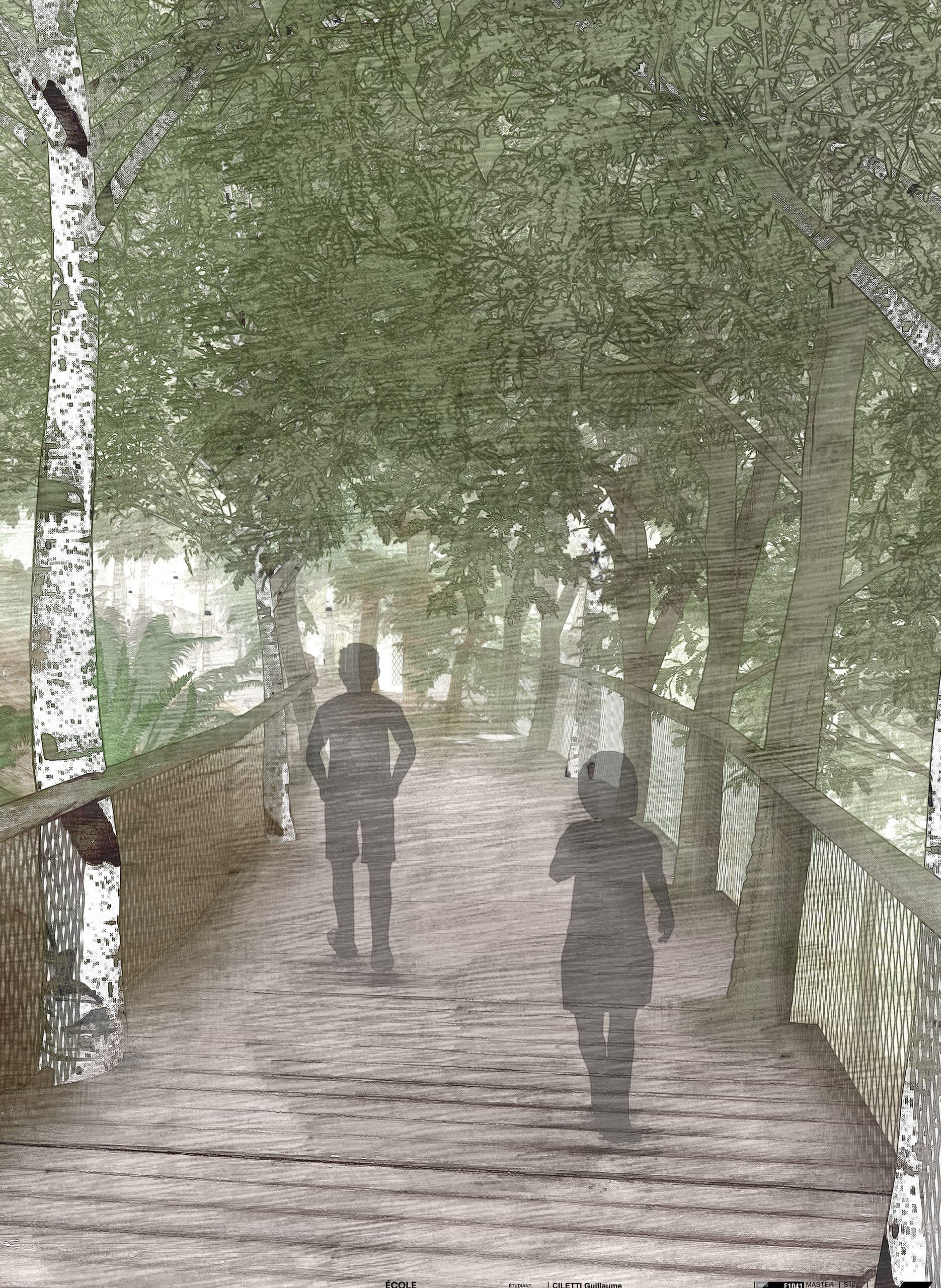 Vue du projet : cadrage vertical sur la passerelle de bois sous les arbres : garde-corps en résille métallique, deux promeneurs vus de dos, troncs de bouleau et feuillage dense au-dessus.