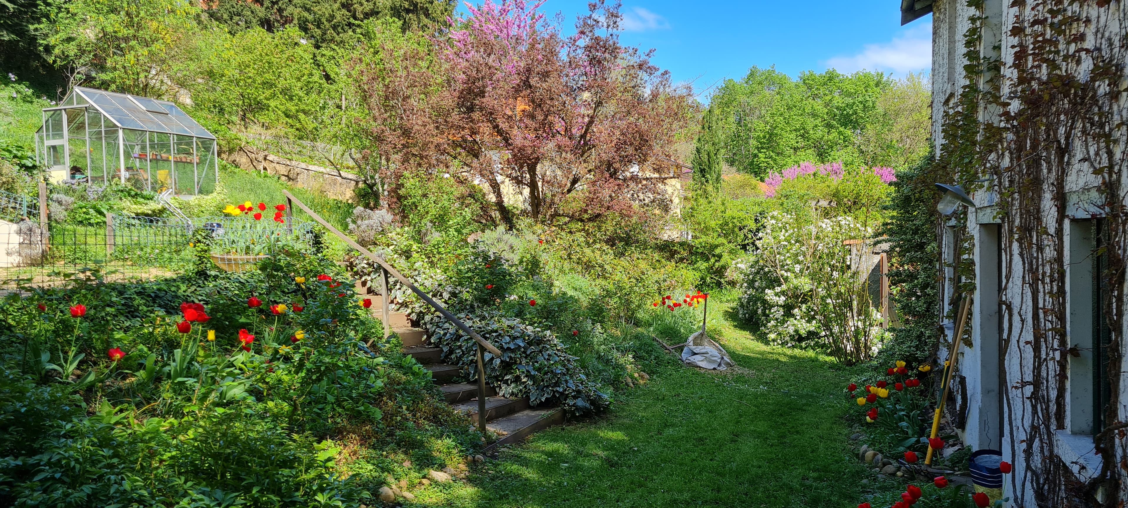 Détail floristique - Diagnostic biodiversité