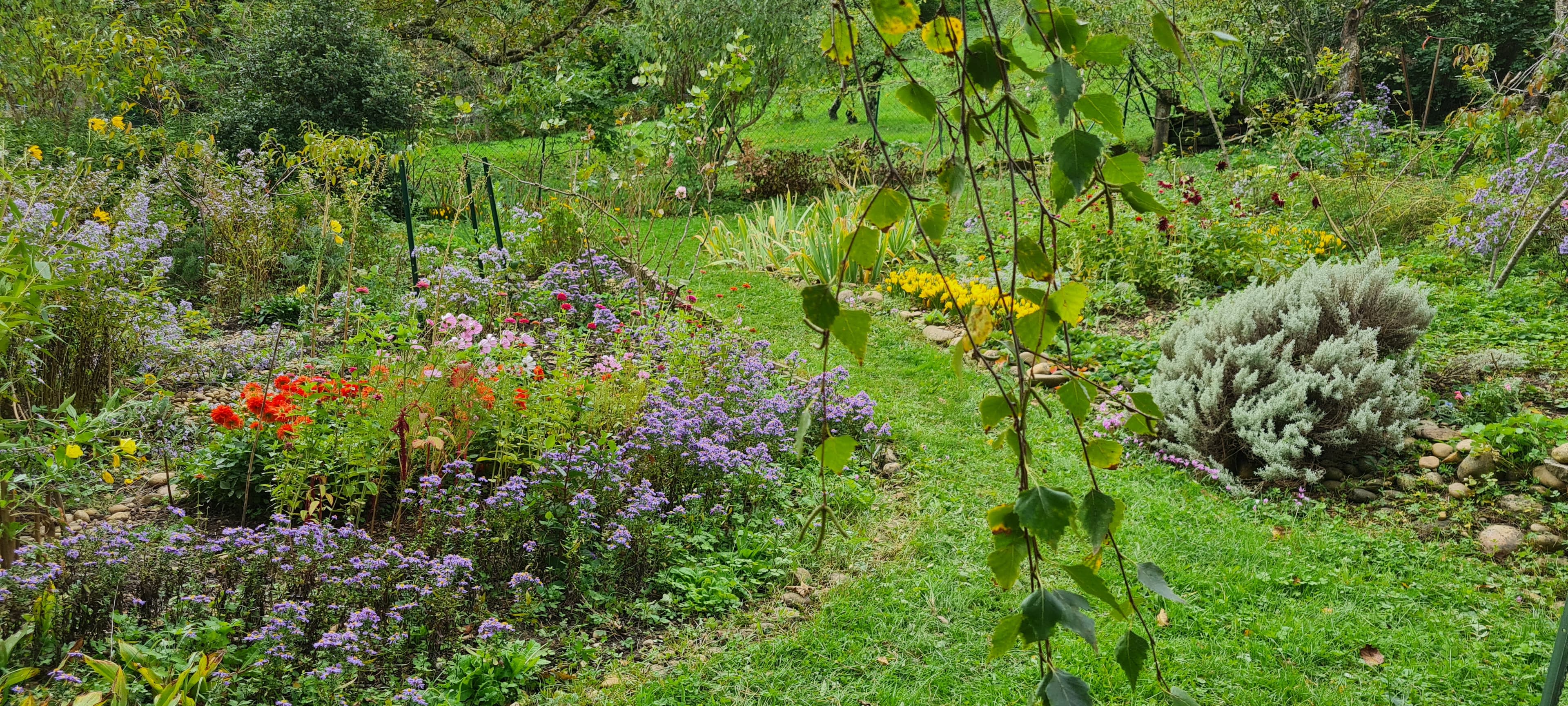 Biodiversité et flore locale